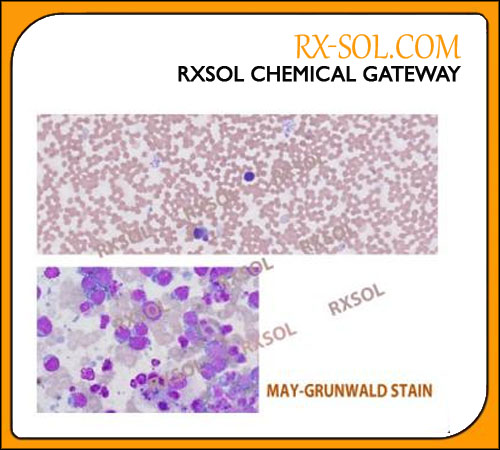 MAY-GRUNWALD STAIN