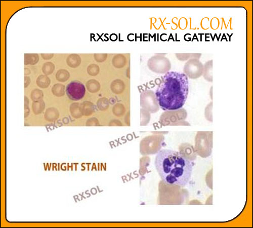 WRIGHT STAIN